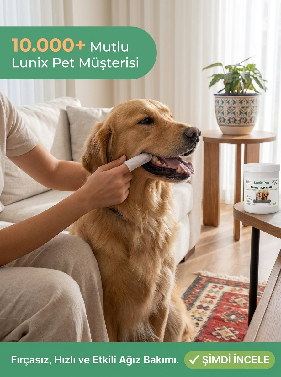 Lunix Pet hero 1