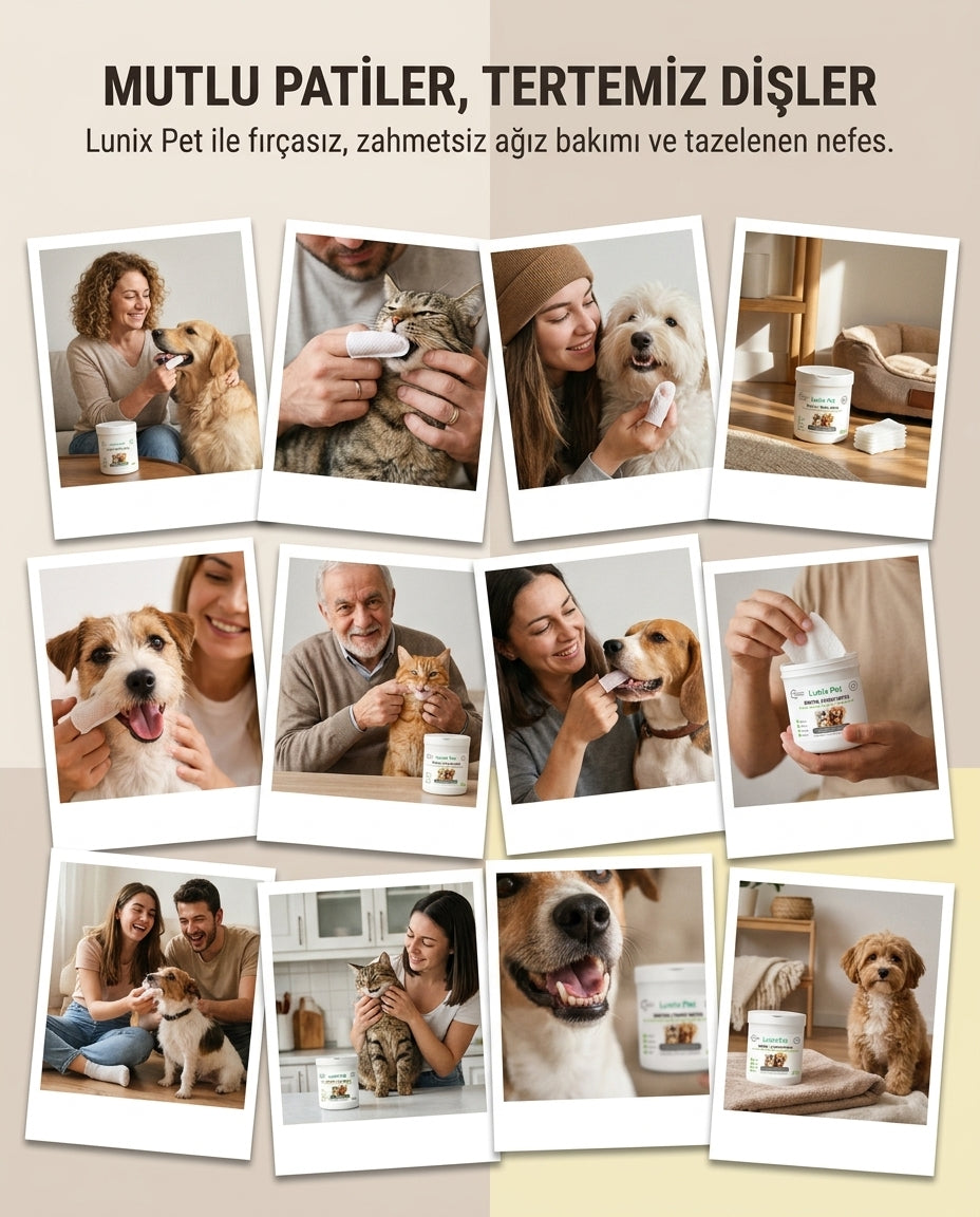Lunix Pet 